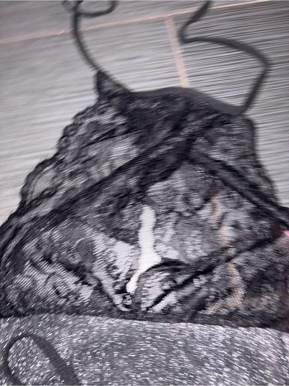 NWT Shimmer Metallic /Lace Sexy Halter Mini Dress & Thong Set OS